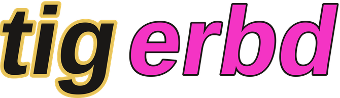 tigerbd logo